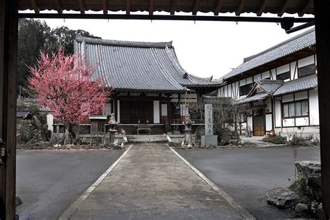 見樹|見樹院 口コミ・写真・地図・情報